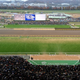Illustration for article titled A Day At The Track For The World's Biggest And Strangest Horse Race